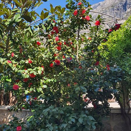 La Grande Apartments Kotor Zewnętrze zdjęcie