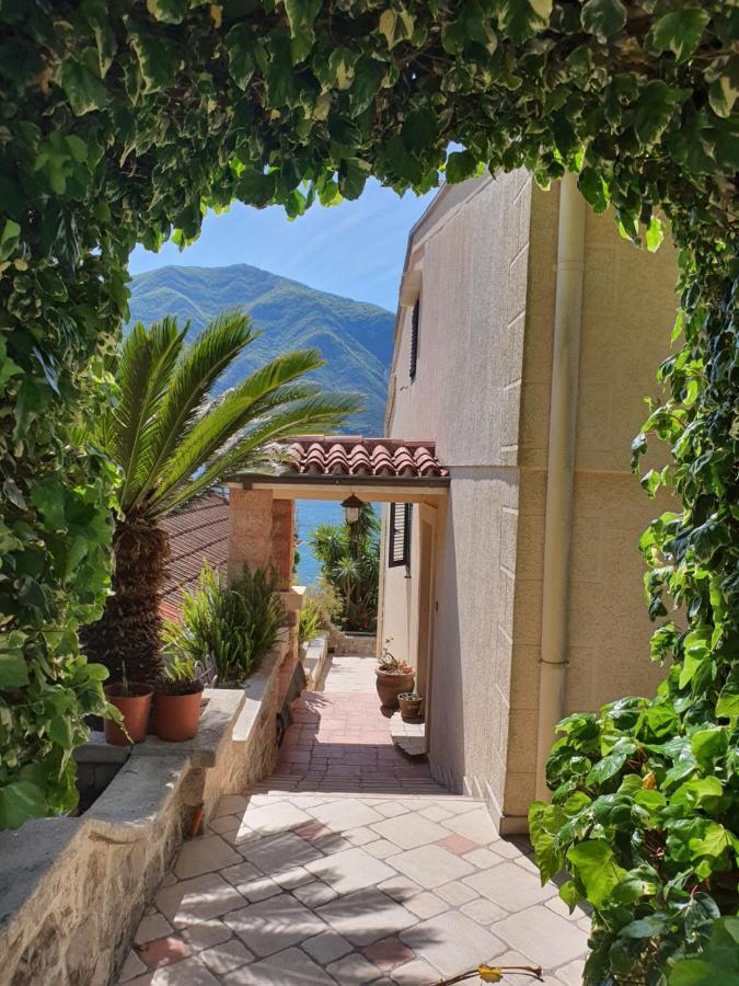 La Grande Apartments Kotor Zewnętrze zdjęcie