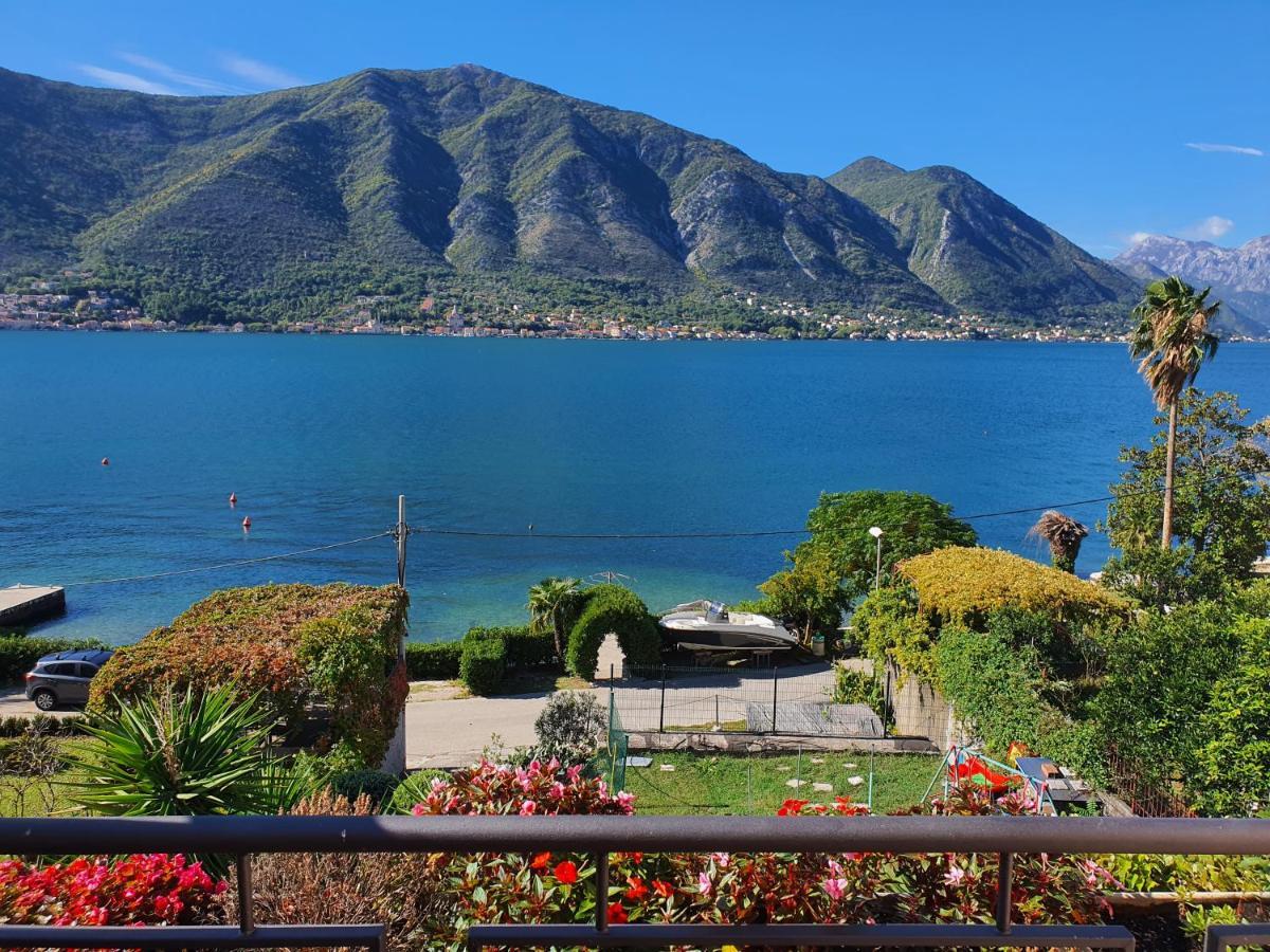 La Grande Apartments Kotor Zewnętrze zdjęcie