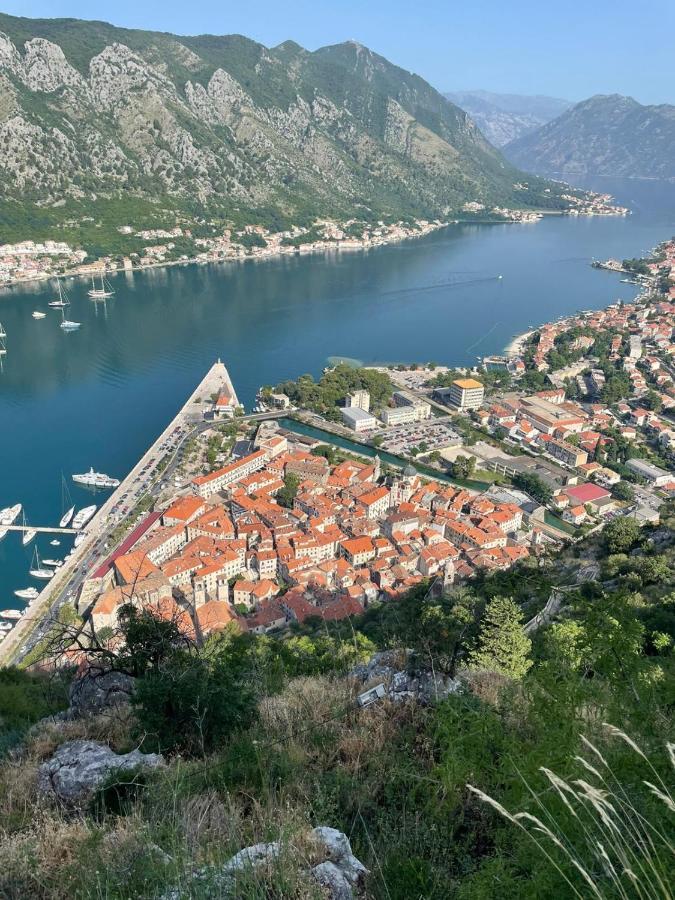 La Grande Apartments Kotor Zewnętrze zdjęcie