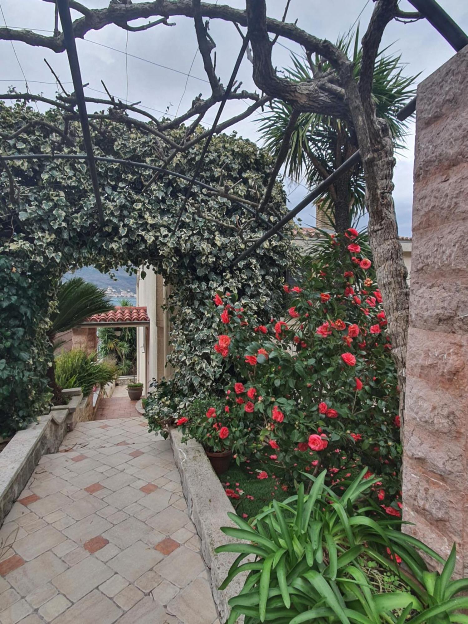 La Grande Apartments Kotor Zewnętrze zdjęcie