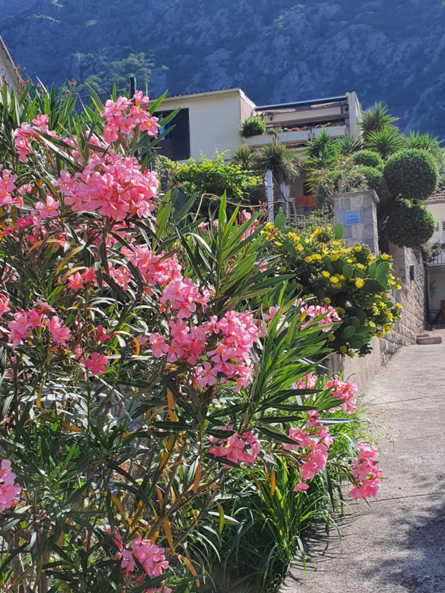 La Grande Apartments Kotor Zewnętrze zdjęcie