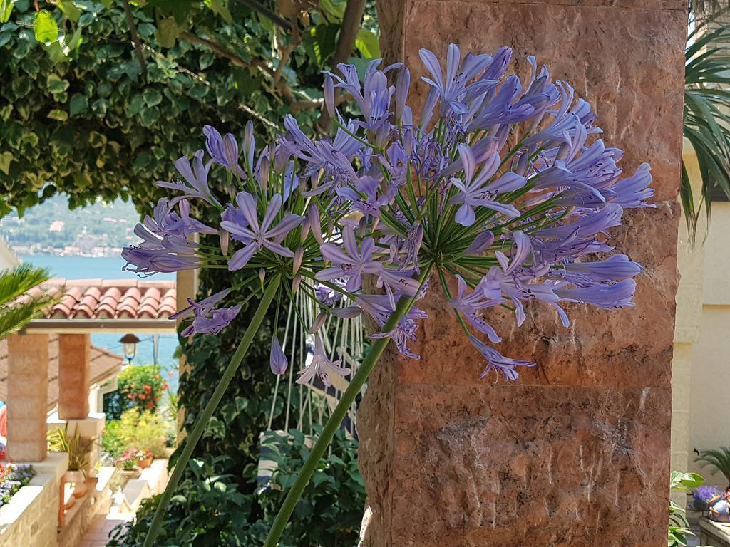 La Grande Apartments Kotor Zewnętrze zdjęcie